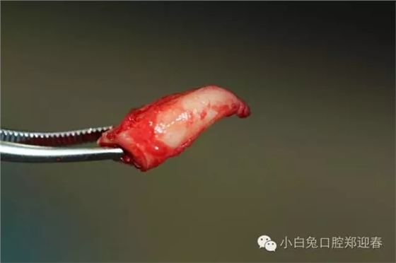 640.webp (11).jpg 640.webp (11).jpg