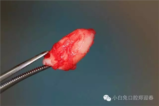 640.webp (12).jpg 640.webp (12).jpg