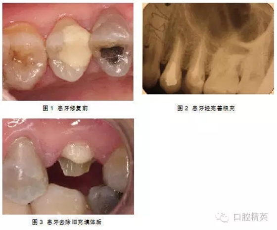 640.webp.jpg 640.webp.jpg