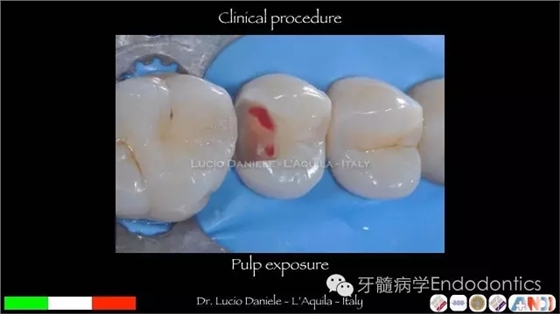 640.webp (21).jpg 640.webp (21).jpg