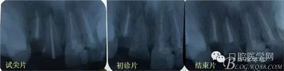 640.webp.jpg 640.webp.jpg