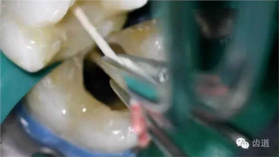 640.webp (19).jpg 640.webp (19).jpg