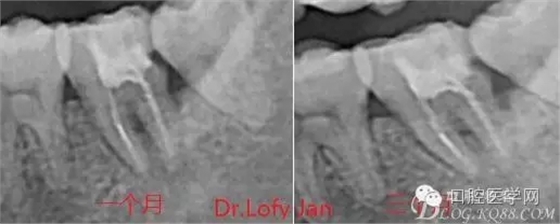 640.webp (10).jpg 640.webp (10).jpg