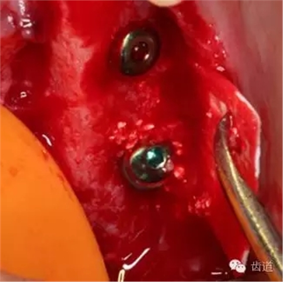 640.webp (7).jpg 640.webp (7).jpg