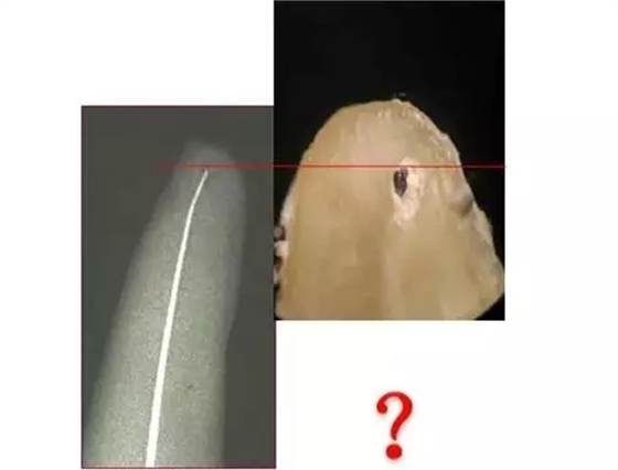 640.webp (2).jpg 640.webp (2).jpg