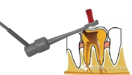 0.webp (1).jpg 0.webp (1).jpg