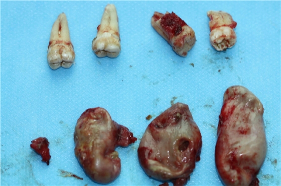 0.webp (1).jpg 0.webp (1).jpg