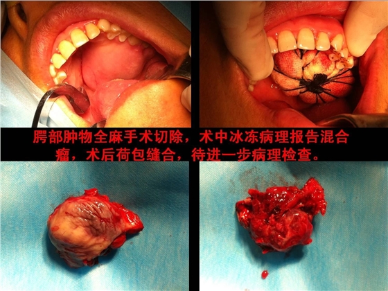 0.webp (2).jpg 0.webp (2).jpg