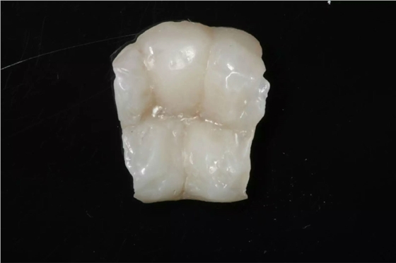 0.webp (8).jpg 0.webp (8).jpg