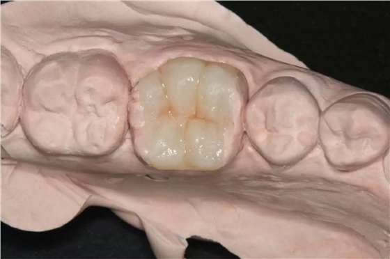 0.webp (9).jpg 0.webp (9).jpg