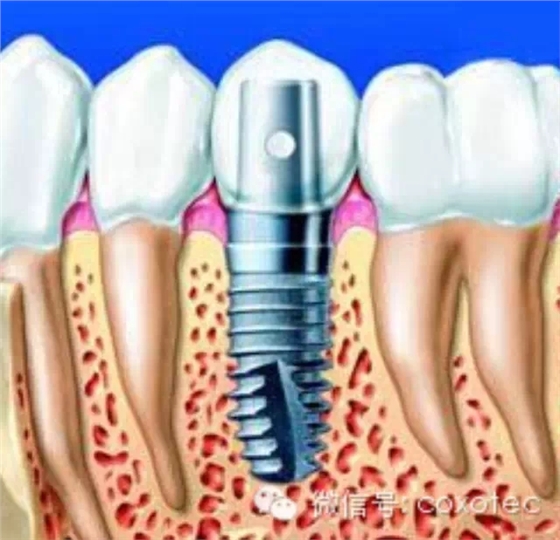 0.webp.jpg 0.webp.jpg