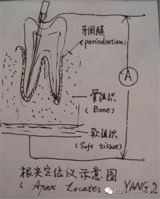 640.webp.jpg 640.webp.jpg