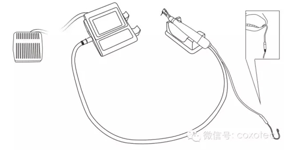 13.webp.jpg 13.webp.jpg