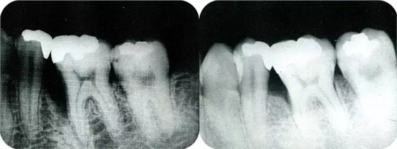 640.webp (6).jpg 640.webp (6).jpg