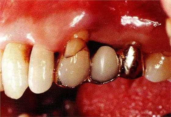 640.webp (7).jpg 640.webp (7).jpg