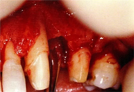 640.webp (9).jpg 640.webp (9).jpg