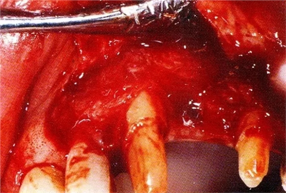 640.webp (13).jpg 640.webp (13).jpg