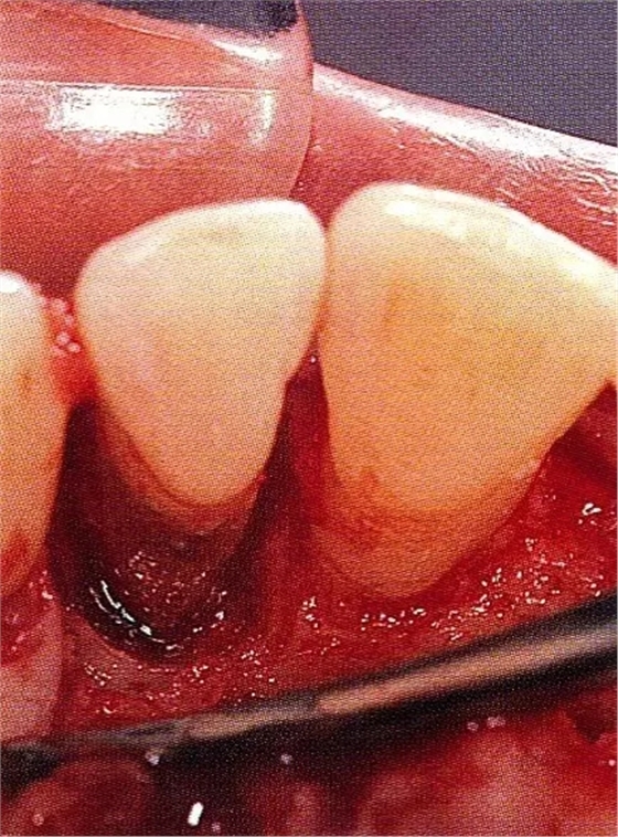 640.webp (16).jpg 640.webp (16).jpg