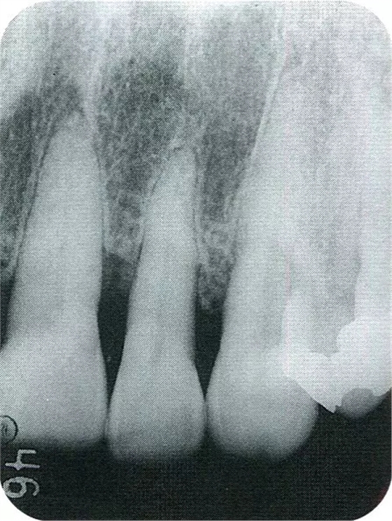 640.webp (19).jpg 640.webp (19).jpg