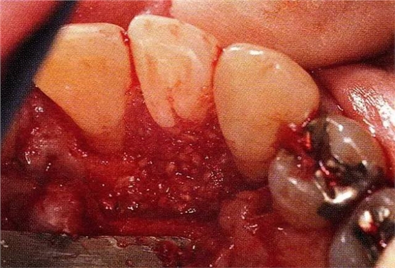 640 (2).jpg 640 (2).jpg