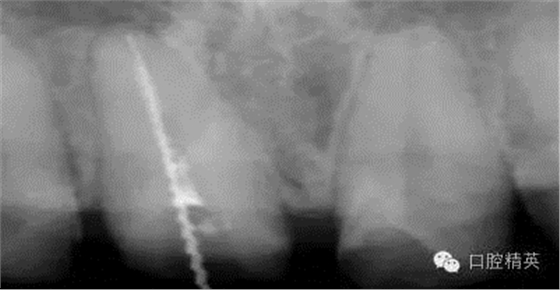 640 (2).jpg 640 (2).jpg