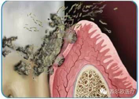 640 (2).jpg 640 (2).jpg