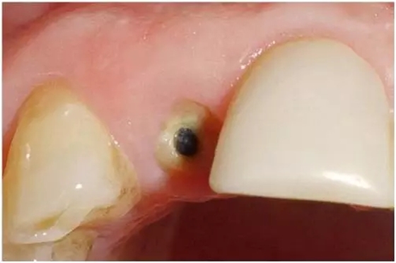 640.webp (2).jpg 640.webp (2).jpg