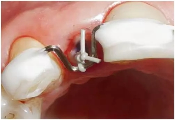 640.webp (14).jpg 640.webp (14).jpg