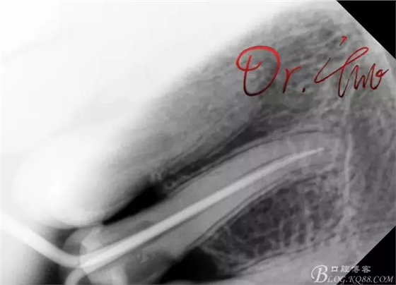 640.webp (2).jpg 640.webp (2).jpg