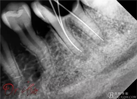 640.webp (6).jpg 640.webp (6).jpg