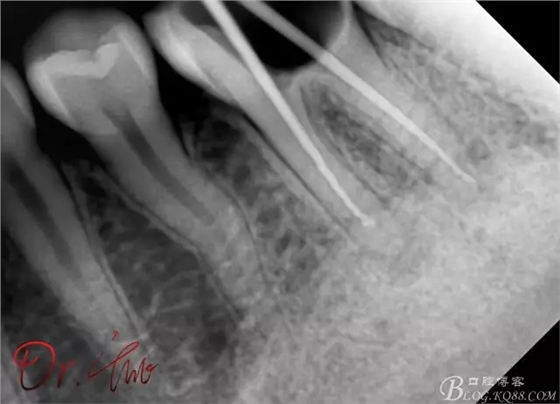 640.webp (7).jpg 640.webp (7).jpg