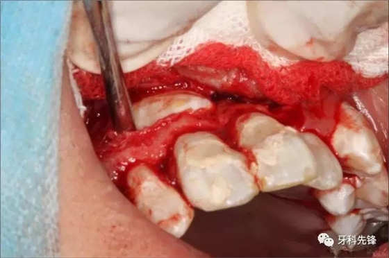 640.webp (6).jpg 640.webp (6).jpg