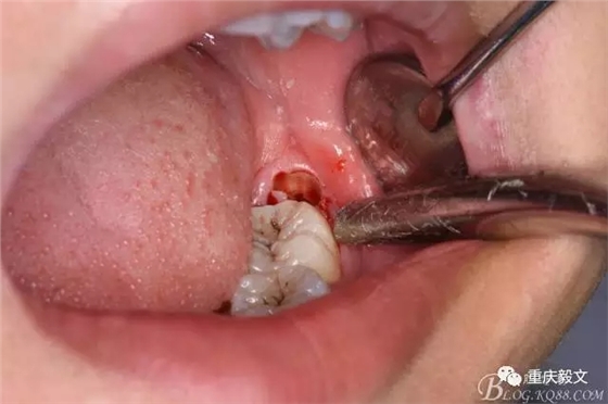 640.webp (8).jpg 640.webp (8).jpg