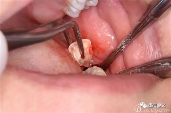 640.webp (15).jpg 640.webp (15).jpg