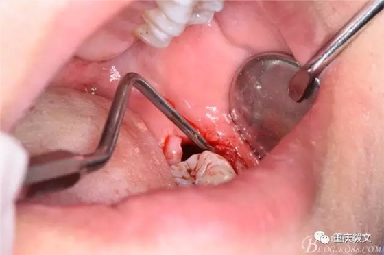 640.webp (18).jpg 640.webp (18).jpg