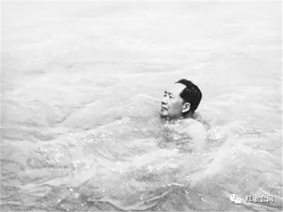 640.webp.jpg 640.webp.jpg