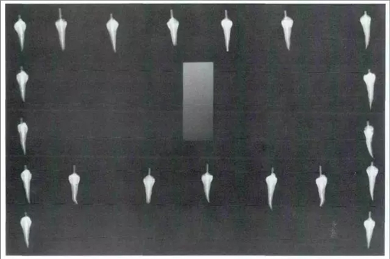 640.webp.jpg 640.webp.jpg