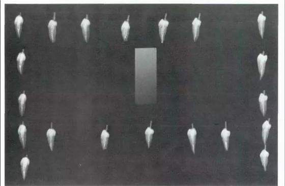 640.webp (1).jpg 640.webp (1).jpg