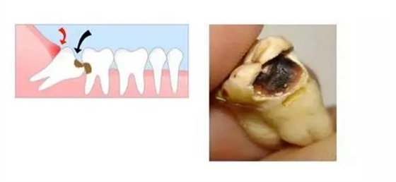 640.webp (6).jpg 640.webp (6).jpg