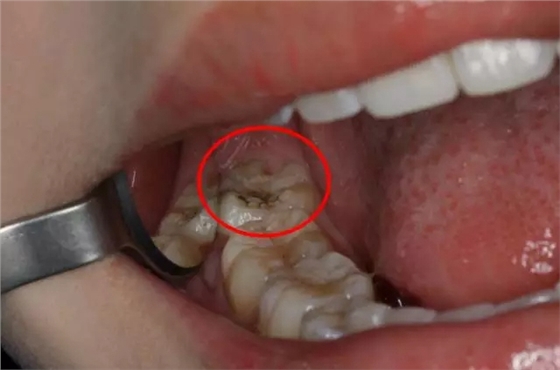 640.webp (7).jpg 640.webp (7).jpg