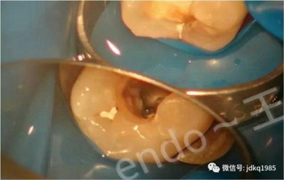 360截圖20170107131955689.jpg 360截圖20170107131955689.jpg