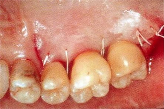 360截圖20170119191000426.jpg 360截圖20170119191000426.jpg