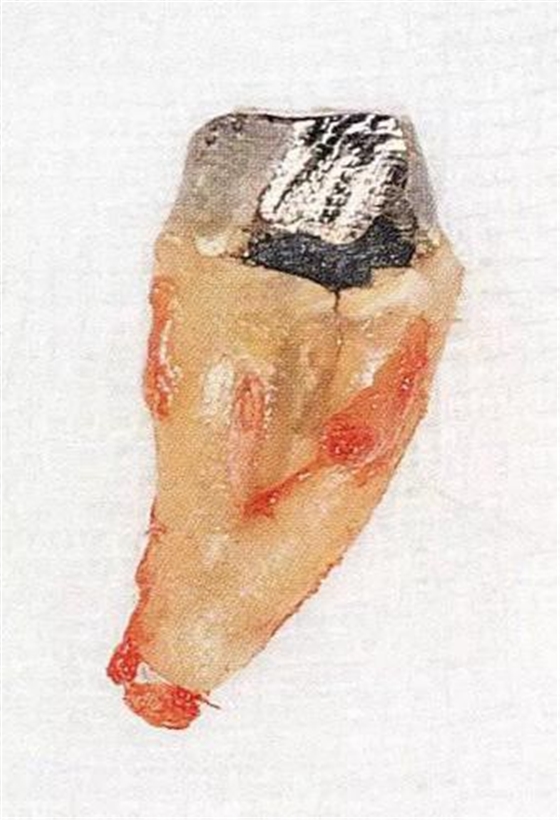 360截圖20170120171017421.jpg 360截圖20170120171017421.jpg