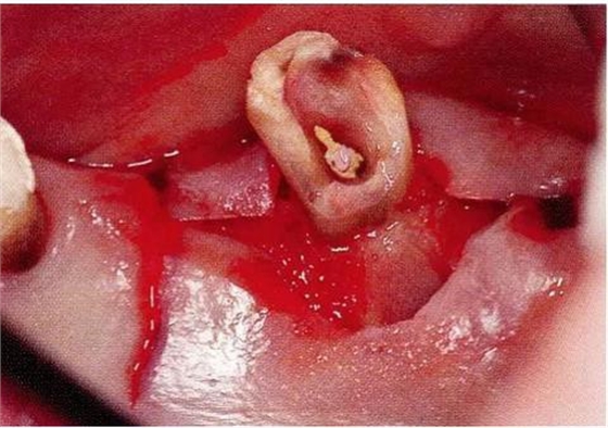 360截圖20170120171156688.jpg 360截圖20170120171156688.jpg