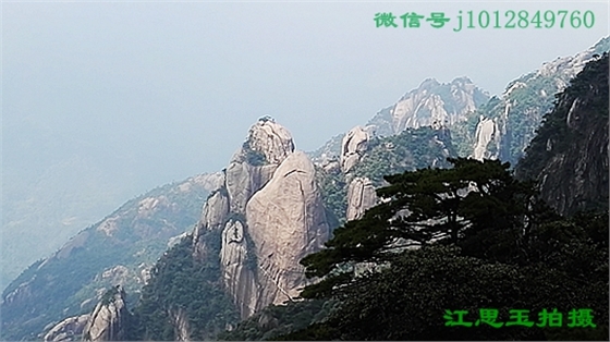 IMG_20160922_122039_副本.jpg IMG_20160922_122039_副本.jpg