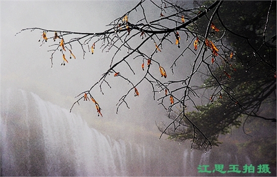 IMGP5326_副本jpg.jpg IMGP5326_副本jpg.jpg