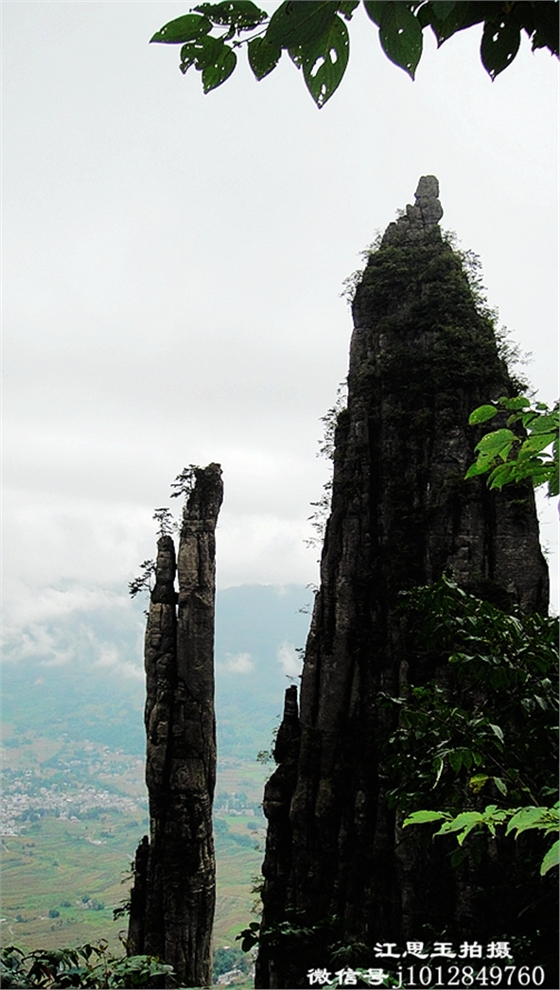 DSC00918_副本jpg.jpg DSC00918_副本jpg.jpg