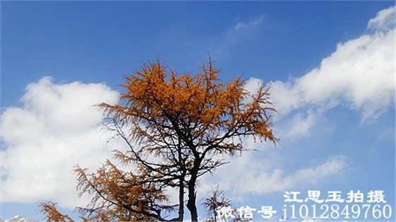 DSC01613.JPG DSC01613.JPG