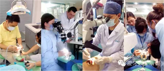 EOOUK0[$G[3R{QD2H133(9I.png EOOUK0[$G[3R{QD2H133(9I.png