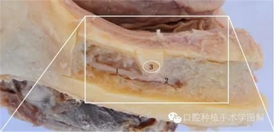 360截圖20170422192801388.jpg 360截圖20170422192801388.jpg